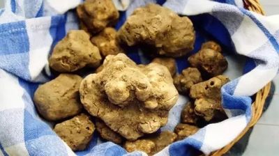文章附圖