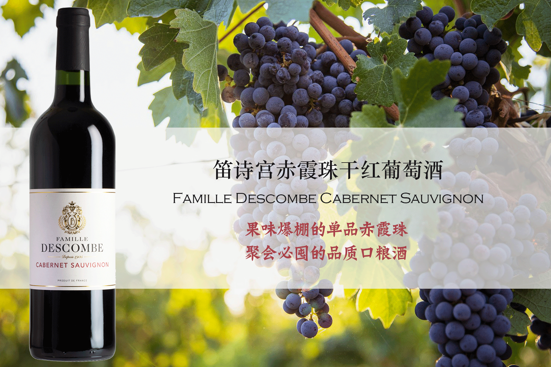 笛詩(shī)宮赤霞珠干紅 | 果味爆棚的單品赤霞珠，聚會(huì)必囤的品質(zhì)口糧酒