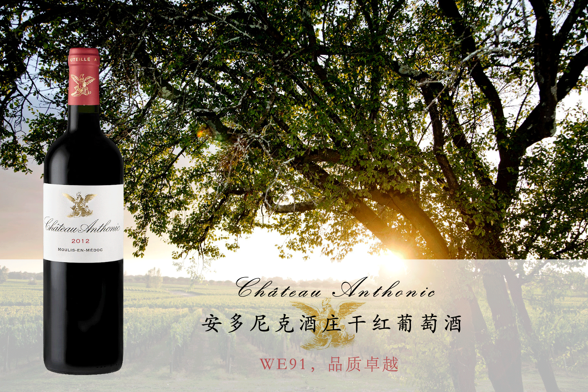 安多尼克酒莊干紅 | WE91，2012年份已進(jìn)入成熟適飲階段，品質(zhì)卓越